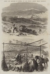 Escenas y bocetos en Caprera